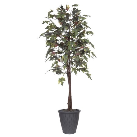 Dare2Decor 6 ft. Frosted Maple Tree - Round Grey Container, Green & Brown DA3269940